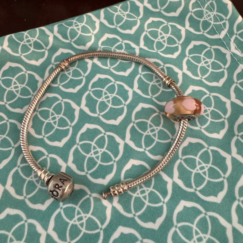 Pandora Snake Chain Bracelet & Charm